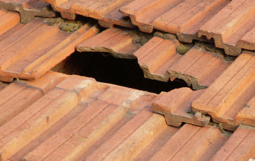 roof repair Tickenham, Somerset